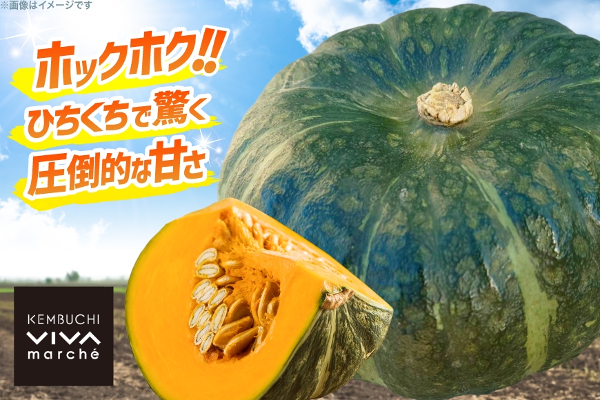 かぼちゃ くりてんか 約10kg 4〜6玉 [けんぶちVIVAマルシェ 北海道 剣淵町 14656395] カボチャ 南瓜 野菜 やさい ベジタブル 美味しい ホクホク おかず