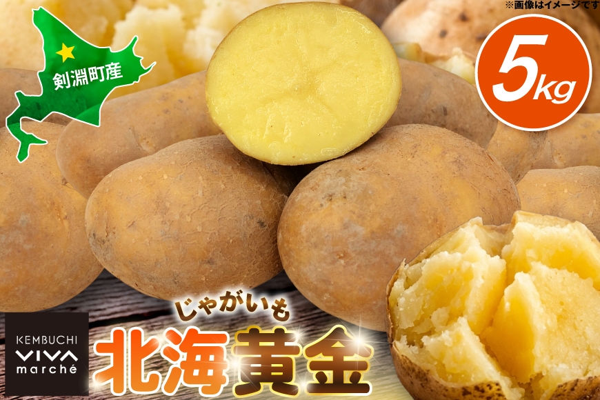  じゃがいも 北海黄金 5kg [けんぶちVIVAマルシェ 北海道 剣淵町 14656385] ジャガイモ 芋 いも ポテト 野菜 秋野菜 秋 常備野菜 カレー シチュー ポテトサラダ