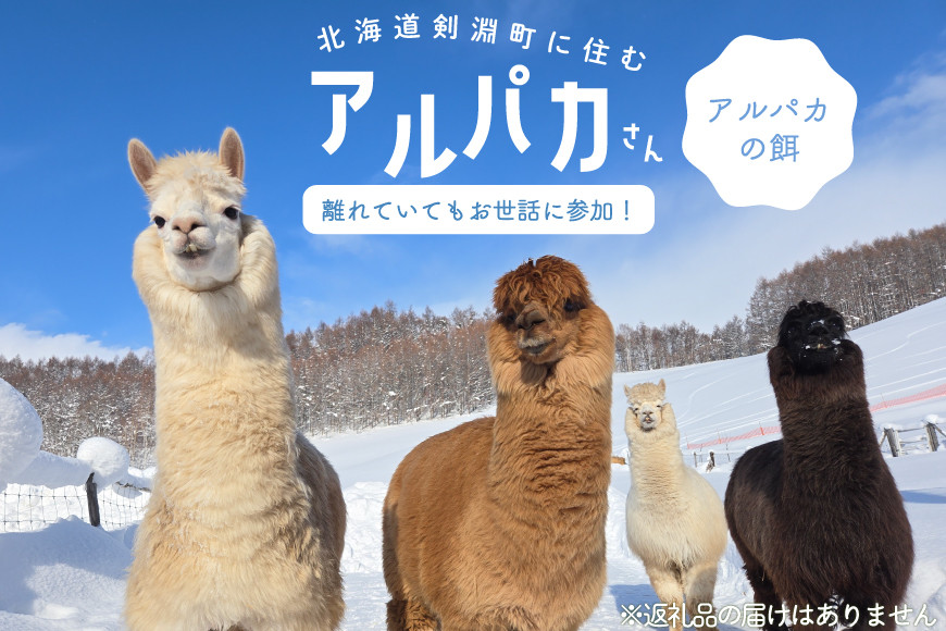 アルパカのエサ  [ビバカンパニー 北海道 剣淵町 14656231] アルパカ あるぱか 動物 えさ エサ 餌 返礼品なし 餌代 エサ代 動物愛護 飼育 支援 応援 VIVAアルパカ牧場 ふるさと納税