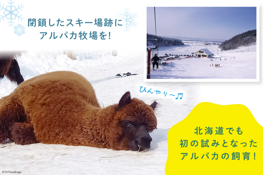 アルパカのエサ  [ビバカンパニー 北海道 剣淵町 14656231] アルパカ あるぱか 動物 えさ エサ 餌 返礼品なし 餌代 エサ代 動物愛護 飼育 支援 応援 VIVAアルパカ牧場 ふるさと納税