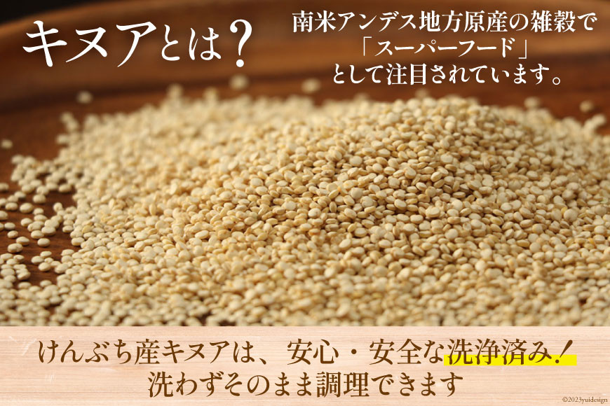キヌア 北海道剣淵産 キヌア 80g 3袋 [けんぶちVIVAマルシェ 北海道 剣淵町 14656191] キヌア きぬあ スーパーフード 栄養 グルテンフリー カリウム ビタミン 国産 ふるさと納税