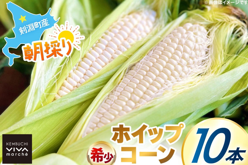 剣淵町産 ホイップコーン 10本 [けんぶちVIVAマルシェ 北海道 剣淵町 14656379] とうもろこし トウモロコシ ホイップコーン 夏 甘い ホワイト