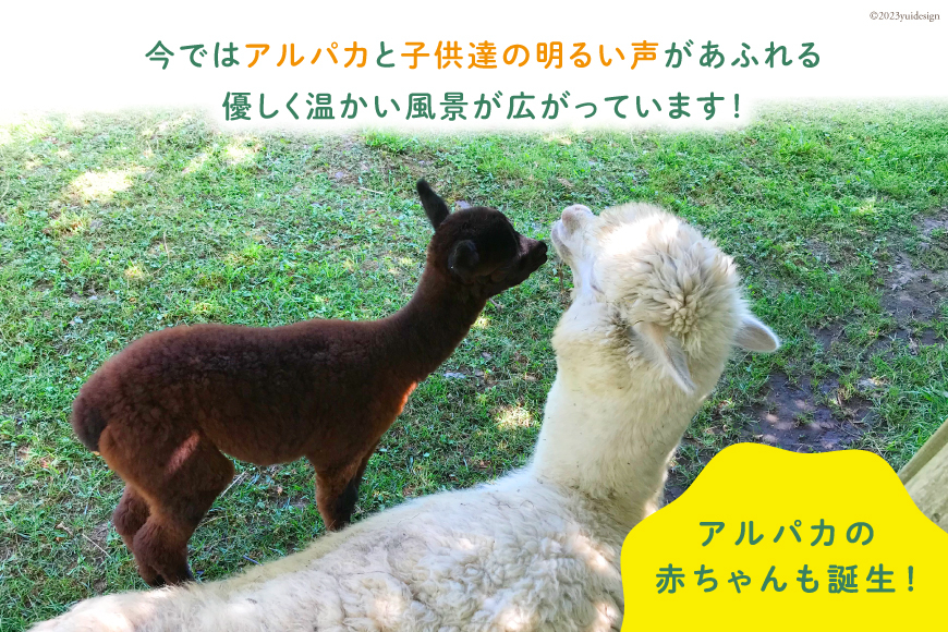 アルパカのエサ  [ビバカンパニー 北海道 剣淵町 14656231] アルパカ あるぱか 動物 えさ エサ 餌 返礼品なし 餌代 エサ代 動物愛護 飼育 支援 応援 VIVAアルパカ牧場 ふるさと納税