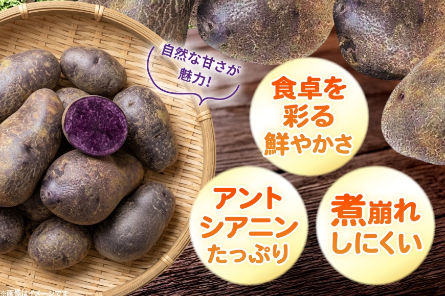  じゃがいも シャドークイーン 5kg [けんぶちVIVAマルシェ 北海道 剣淵町 14656391] ジャガイモ 芋 いも ポテト 野菜 秋野菜 秋 常備野菜 カレー シチュー ポテトサラダ