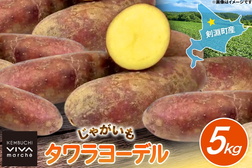 じゃがいも タワラヨーデル 5kg [けんぶちVIVAマルシェ 北海道 剣淵町 14656390] ジャガイモ 芋 いも ポテト 野菜 秋野菜 秋 常備野菜 カレー シチュー マッシュサラダ コロッケ 