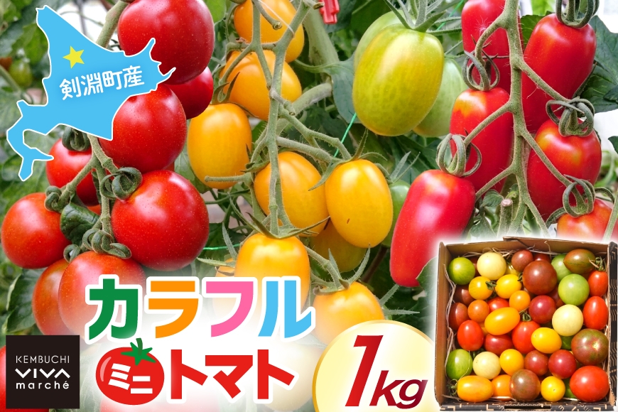 剣淵町産 カラフルミニトマト 1kg [けんぶちVIVAマルシェ 北海道 剣淵町 14656380] トマト とまと ミニトマト 新鮮 カラフル
