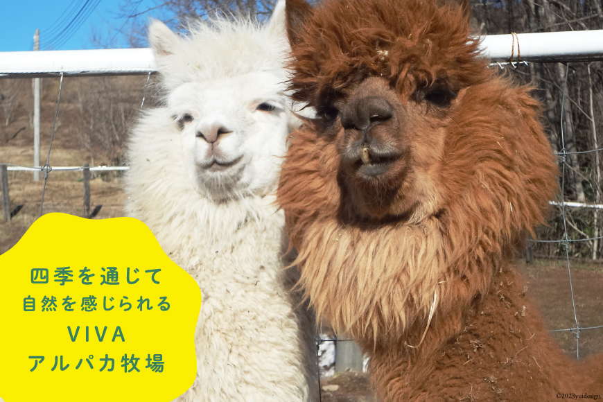 アルパカのエサ  [ビバカンパニー 北海道 剣淵町 14656231] アルパカ あるぱか 動物 えさ エサ 餌 返礼品なし 餌代 エサ代 動物愛護 飼育 支援 応援 VIVAアルパカ牧場 ふるさと納税