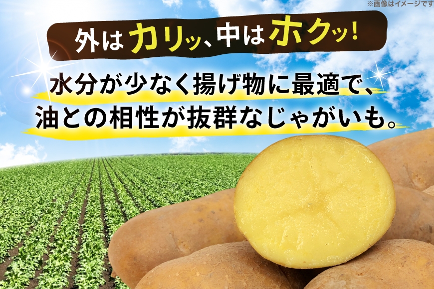  じゃがいも 北海黄金 5kg [けんぶちVIVAマルシェ 北海道 剣淵町 14656385] ジャガイモ 芋 いも ポテト 野菜 秋野菜 秋 常備野菜 カレー シチュー ポテトサラダ