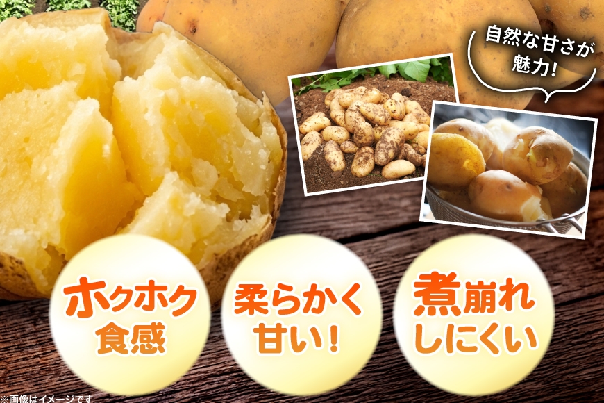  じゃがいも きたあかり 5kg [けんぶちVIVAマルシェ 北海道 剣淵町 14656388] ジャガイモ 芋 いも ポテト きたあかり キタアカリ 野菜 秋野菜 秋 常備野菜 カレー シチュー ポテトサラダ