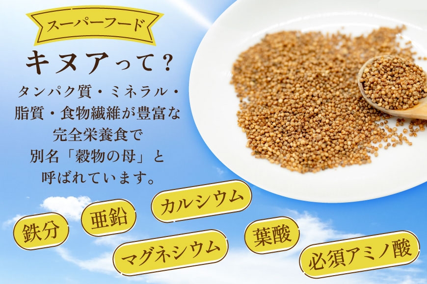 焙煎 キヌア 8g 2袋 計16g [けんぶちVIVAマルシェ 北海道 剣淵町 14656400] キヌア きぬあ オーガニック 健康 サラダ スープ