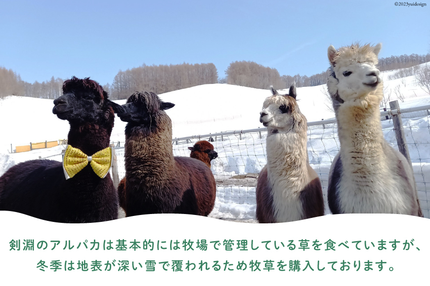 アルパカのエサ  [ビバカンパニー 北海道 剣淵町 14656231] アルパカ あるぱか 動物 えさ エサ 餌 返礼品なし 餌代 エサ代 動物愛護 飼育 支援 応援 VIVAアルパカ牧場 ふるさと納税