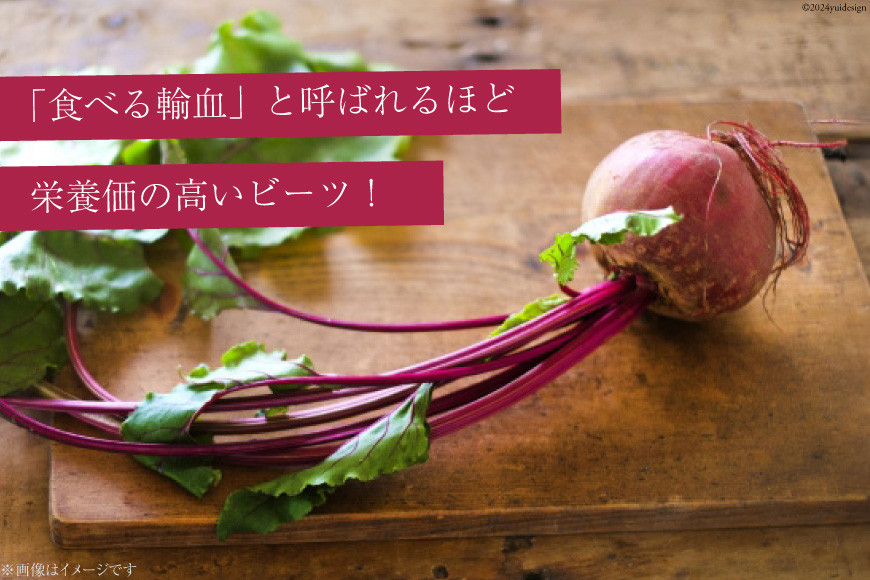【下茹で済み】 ビーツ 野菜 レトルト 200g 2袋 計400g [けんぶちVIVAマルシェ 北海道 剣淵町 14656311] スーパーフード 国産 真空パック 簡単調理