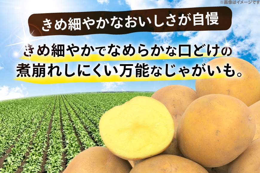  じゃがいも とうや 5kg [ けんぶちVIVAマルシェ 北海道 剣淵町 14656387] ジャガイモ 芋 いも ポテト 野菜 秋野菜 秋 常備野菜 カレー シチュー ポテトサラダ