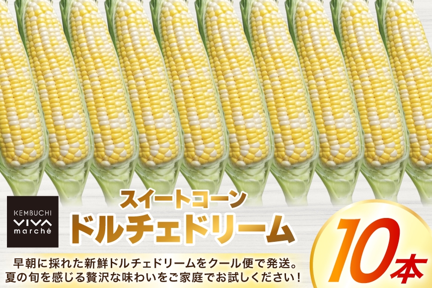 とうもろこし ドルチェドリーム 10本 [ けんぶちVIVAマルシェ 北海道 剣淵町 14656378 ] 野菜 トウモロコシ コーン スイートコーン 甘い 採れたて 新鮮 国産 冷蔵 ふるさと納税