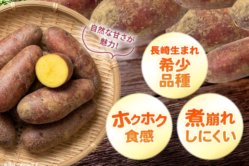 じゃがいも タワラヨーデル 5kg [けんぶちVIVAマルシェ 北海道 剣淵町 14656390] ジャガイモ 芋 いも ポテト 野菜 秋野菜 秋 常備野菜 カレー シチュー マッシュサラダ コロッケ 