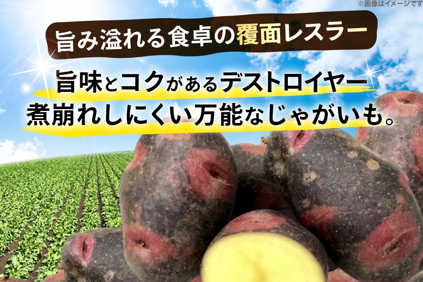 じゃがいも デストロイヤー 5kg [けんぶちVIVAマルシェ 北海道 剣淵町 14656393] ジャガイモ 芋 いも ポテト 野菜 秋野菜 秋 常備野菜 カレー シチュー ポテトサラダ 肉じゃが