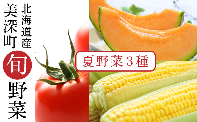 美深の旬の夏野菜3種（フルーツトマト・メロン・とうもろこし）【北海道美深町産】