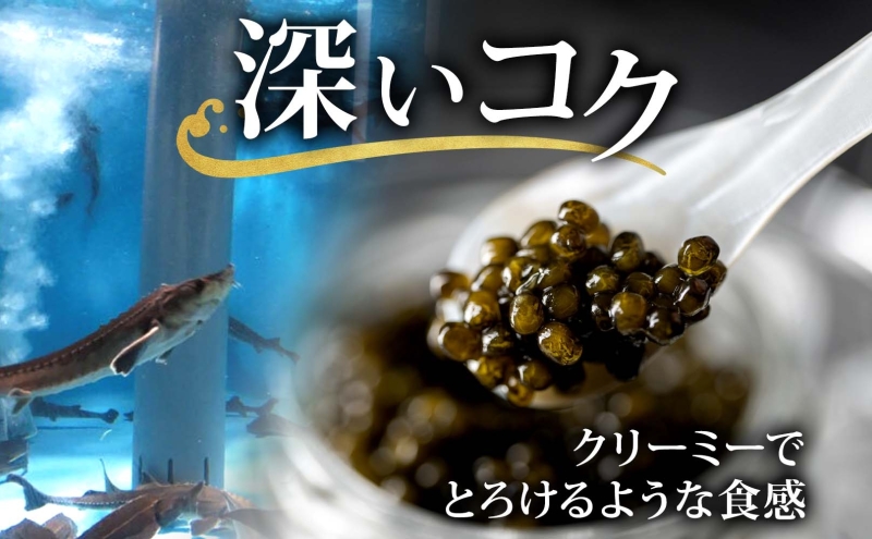 北海道産 美深キャビア20g  純国産 北海道 美深町 国産キャビア チョウザメ 魚貝類 魚卵 加工食品 珍味  冷凍配送 ギフト おつまみ おもてなし オードブル パーティー  お祝い クリーミー 贈答用  産地直送  株式会社美深振興公社