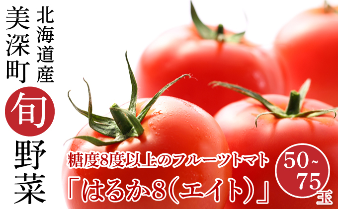 フルーツトマト「はるか8（エイト）」50～75玉【北海道美深町産】