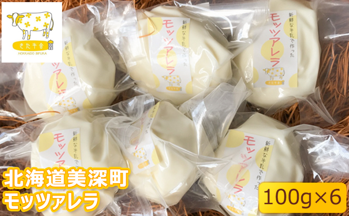 北海道美深町 モッツァレラ100g×6【北ぎゅう舎】 加工食品 乳製品 チーズ