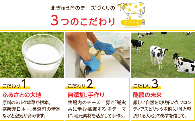 北海道美深町 モッツァレラ100g×6【北ぎゅう舎】 加工食品 乳製品 チーズ 