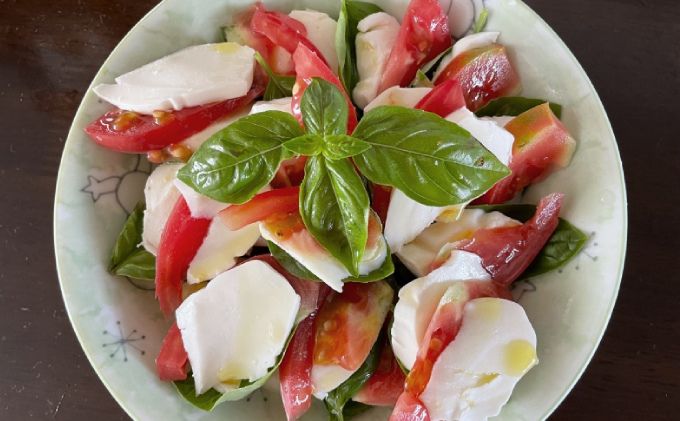 北海道美深町 モッツァレラ100g×6【北ぎゅう舎】 加工食品 乳製品 チーズ 