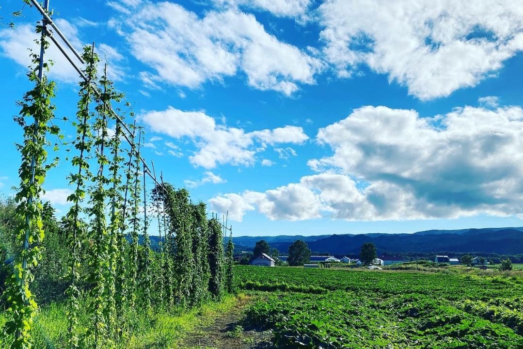 美深のクラフトビール　定番その1の3本セット【北海道美深町】