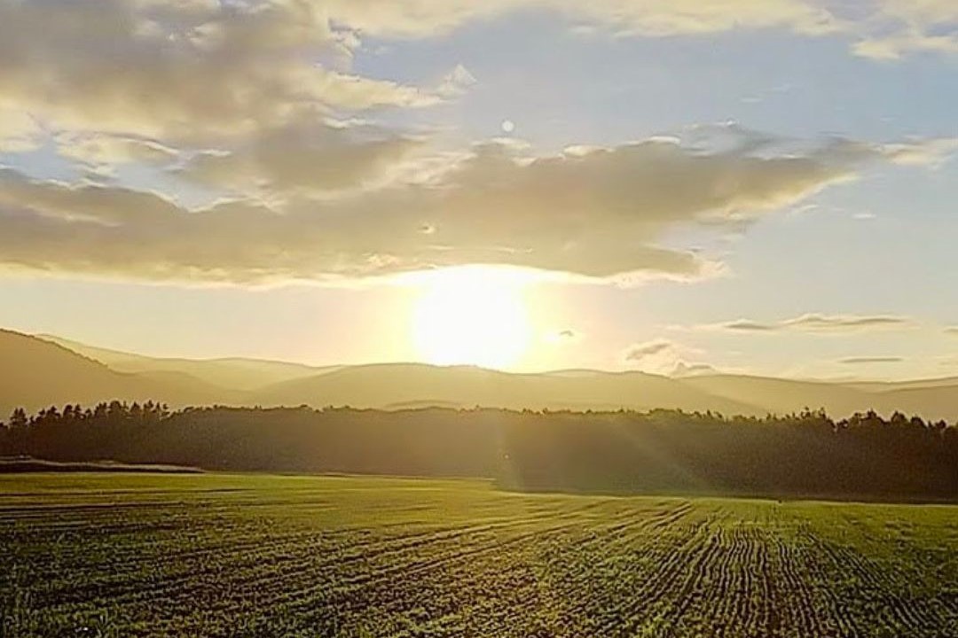 美深のクラフトビール　定番その1の3本セット【北海道美深町】