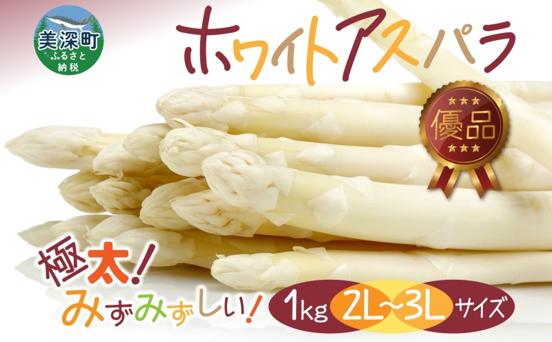 2026年発送  ホワイトアスパラ 1kg(2L～3L ）【優品】 白旬 新鮮 野菜 朝採れ アスパラ アスパラガス ギフト 産地直送 お取り寄せ フレッシュ 甘い 春 春野菜 旬の味覚  季節 送料無料 北海道産 美深町