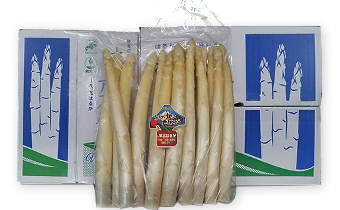 ホワイトアスパラ 1kg(2L～3L)［優品］北海道 美深町産 アスパラガス 野菜