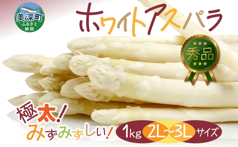 【2025年発送】 ホワイトアスパラ 1kg(2L～3L )【 秀品 】 白 旬 新鮮 野菜 朝採れ アスパラ アスパラガス ジューシー ギフト 産地直送 お取り寄せ フレッシュ 丁寧 健康 美容 簡単調理