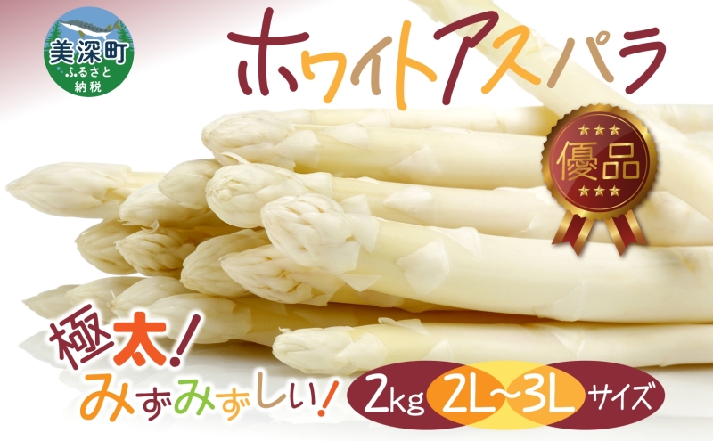 2026年発送  ホワイトアスパラ 2kg(2L～3L ）【優品】 白旬 新鮮 野菜 朝採れ アスパラ アスパラガス ギフト 産地直送 お取り寄せ フレッシュ 甘い 春 春野菜 旬の味覚  季節 送料無料 北海道産 美深町