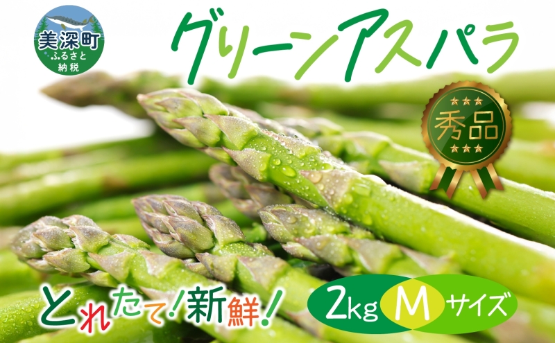 2026年発送  グリーンアスパラ 2kg(M)【秀品】 旬  新鮮 野菜 朝採れ アスパラ アスパラガス ギフト 産地直送 お取り寄せ フレッシュ 甘い 春  春野菜 旬の味覚  季節 送料無料 北海道産 美深町