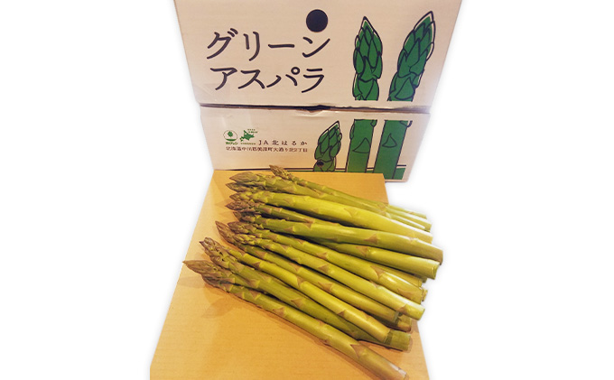 【2025年発送】グリーンアスパラ 2kg(L)［秀品］北海道 美深町産 アスパラガス 野菜　 北海道野菜 旬の野菜 甘い みずみずしい 　お届け：2025年5月中旬～2025年6月下旬