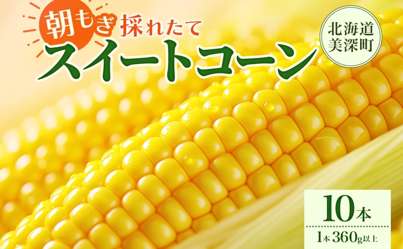 とうもろこし 10本 スイートコーン トウモロコシ コーン 甘い 採れたて 朝採り 野菜 旬の野菜 農作物 お取り寄せ 北海道産 産地直送 北海道 美深町 お届け：2026年8月3日～2026年8月28日