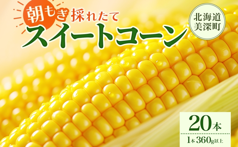 とうもろこし 20本 スイートコーン トウモロコシ コーン 甘い 採れたて 朝採り 野菜 旬の野菜 農作物 お取り寄せ 北海道産 産地直送 北海道 美深町 お届け：2026年8月3日～2026年8月28日