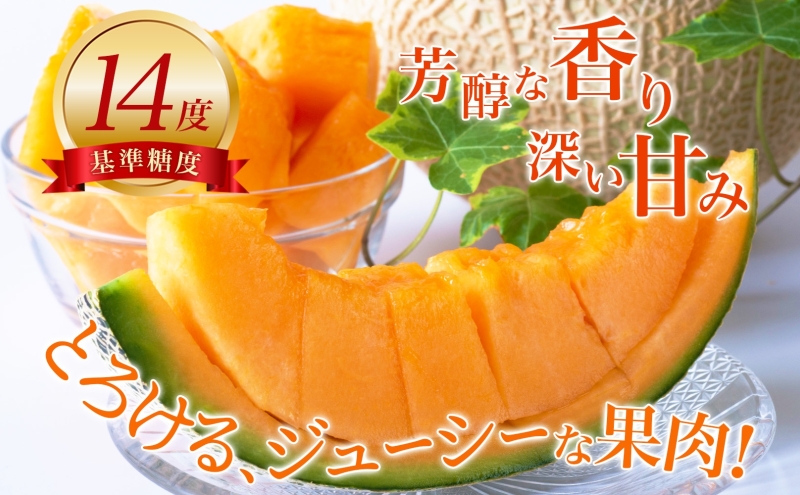 【2026年発送】びふかメロン1～2玉(合計3kg以上) 北海道 美深町産 赤肉 メロン 産直 高級 果肉 果汁 デザート フルーツ 果物 くだもの 贈り物 メロン赤肉