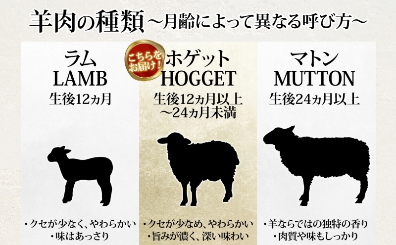 北海道 贅沢な晩酌セット 金 羊のホゲット肉 ステーキ 700g 美深クラフトビール 3種 計3本 羊肉 ホゲット クラフトビール 地ビール 詰め合わせ 飲み比べ セット 晩酌 エール 瓶ビール 酒 ジンギスカン お取り寄せ 送料無料 北海道 美深町