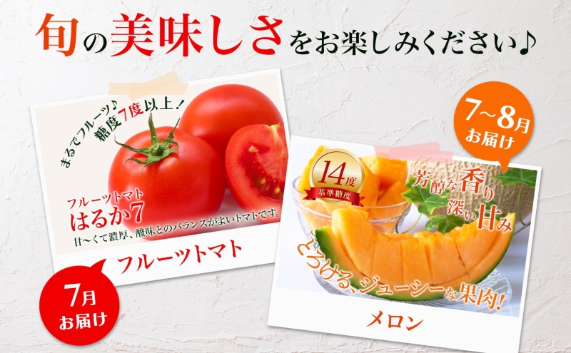 【2025年発送】 美深の旬の夏野菜3種 （フルーツトマト・メロン・とうもろこし） 夏 野菜 旬 甘い 濃厚 果物 フルーツ 高糖度 新鮮 朝採れ もぎたて 産地直送 北海道 美深町