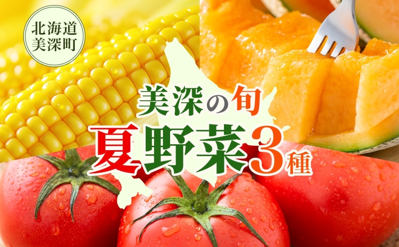 【2025年発送】 美深の旬の夏野菜3種 （フルーツトマト・メロン・とうもろこし） 夏 野菜 旬 甘い 濃厚 果物 フルーツ 高糖度 新鮮 朝採れ もぎたて 産地直送 北海道 美深町