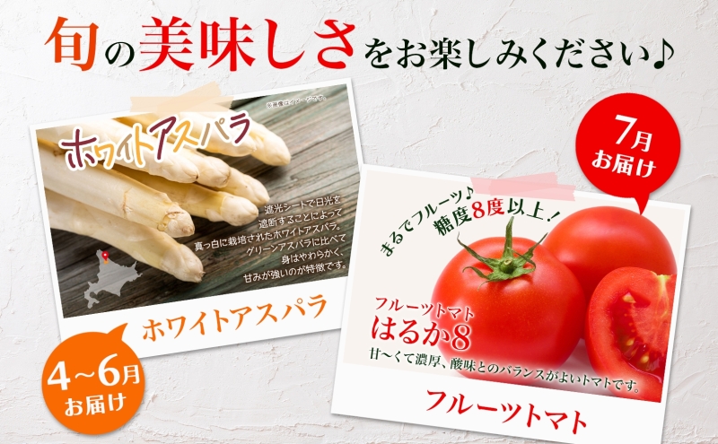 年3回定期便 2026年発送 美深の旬の野菜セット ホワイトアスパラ フルーツトマト トマト カボチャ かぼちゃ くりゆたか 秀品 産地直送 野菜 旬 食材 アレンジ 旬の野菜 みずみずしい フレッシュ お取り寄せ 北海道 美深町