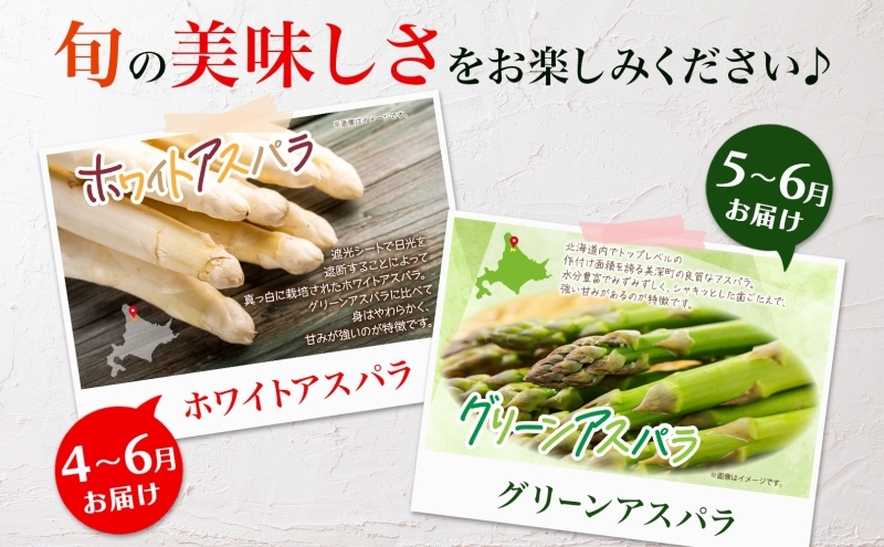 年4回定期便 2026年発送 美深の旬の野菜セット ホワイトアスパラ グリーンアスパラ カボチャ かぼちゃ くりゆたか スイートコーン とうもろこし 秀品 産地直送 野菜 旬 食材 フレッシュ お取り寄せ 北海道 美深町