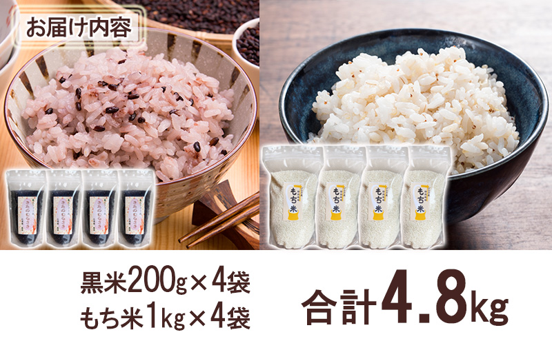 美深町産 黒米 もち米 セット 計4.8kg (黒米200g×4袋、もち米1kg×4袋) 北海道産 国産 お米 黒米 もち米 小分け 玄米 雑穀米 古代米 ご飯 ごはん 