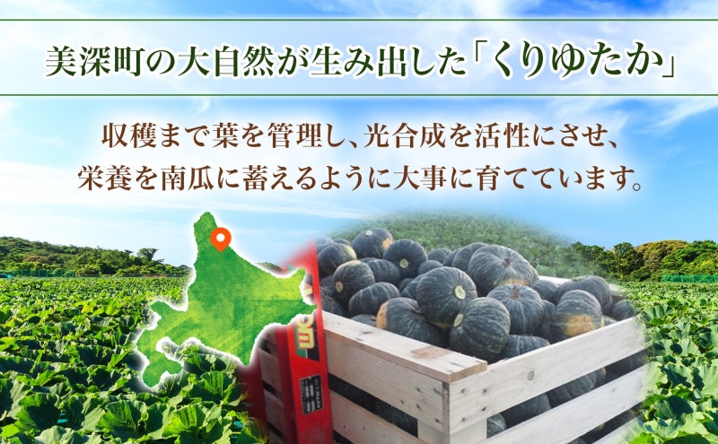 くりゆたか かぼちゃ 10kg 6～8玉 カボチャ 南瓜 野菜 秋 ホクホク 甘い 味覚 北海道 美深町 北はるか農業協同組合