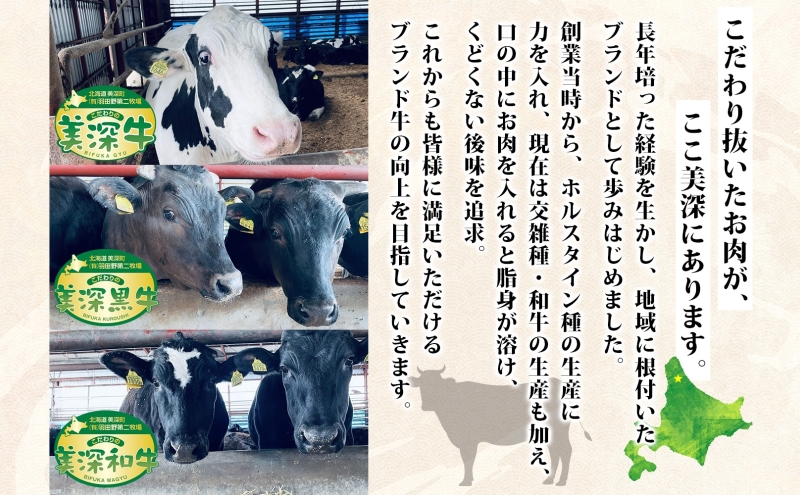 美深町 肉のはたのハンバーグ 20個 3kg 150g×20 冷凍 ギフト 詰め合わせ 和牛 牛肉 お弁当 ランチ 昼食 夕食 おかず 総菜 バーベキュー ハンドメイド 手作り 美深黒牛 ブランド 霜降り 団らん昼食 ランチ ディナー 夜食 御馳走 満足 簡単 焼くだけ