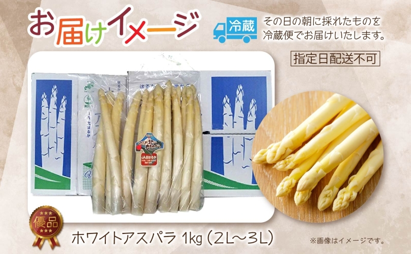 2026年発送  ホワイトアスパラ 1kg(2L～3L ）【優品】 白旬 新鮮 野菜 朝採れ アスパラ アスパラガス ギフト 産地直送 お取り寄せ フレッシュ 甘い 春 春野菜 旬の味覚  季節 送料無料 北海道産 美深町