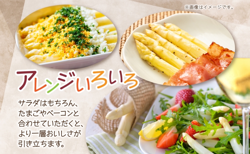 2026年発送  ホワイトアスパラ 1kg(2L～3L ）【優品】 白旬 新鮮 野菜 朝採れ アスパラ アスパラガス ギフト 産地直送 お取り寄せ フレッシュ 甘い 春 春野菜 旬の味覚  季節 送料無料 北海道産 美深町