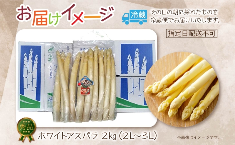 2026年発送  ホワイトアスパラ 2kg(2L～3L ）【秀品】 白旬 新鮮 野菜 朝採れ アスパラ アスパラガス ギフト 産地直送 お取り寄せ フレッシュ 甘い 春 春野菜 旬の味覚  季節 送料無料 北海道産 美深町