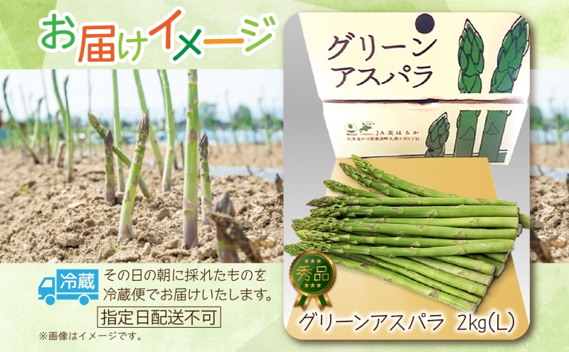 2026年発送  グリーンアスパラ  2kg(L) 【 秀品 】 旬  新鮮 野菜 朝採れ アスパラ アスパラガス ギフト 産地直送 お取り寄せ フレッシュ 甘い 春  春野菜 旬の味覚  季節 送料無料 北海道産 美深町