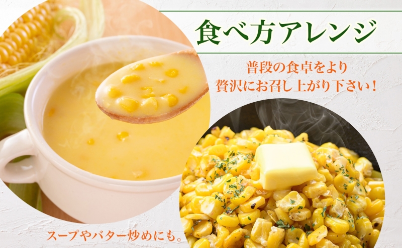 とうもろこし 20本 スイートコーン トウモロコシ コーン 甘い 採れたて 朝採り 野菜 旬の野菜 農作物 お取り寄せ 北海道産 産地直送 北海道 美深町 お届け：2026年8月3日～2026年8月28日